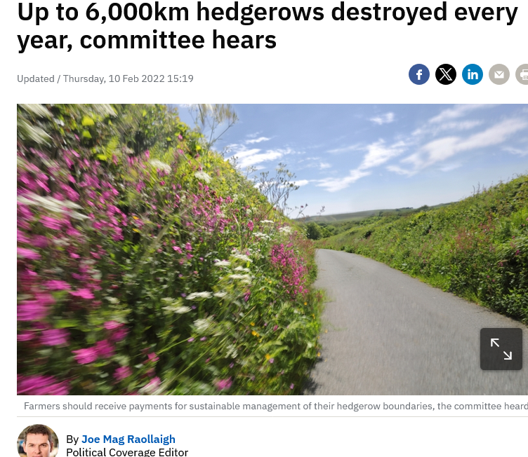 ECOWARRIORSS's tweet photo. Ireland should be renamed
The new Eastern Island
1% native forests left
80% wetlands destroyed
Third of Ireland’s wintering waterbirds vanish in just 30 years
Seas around Ireland emptied of marine life https://t.co/yuuXQCW1N0