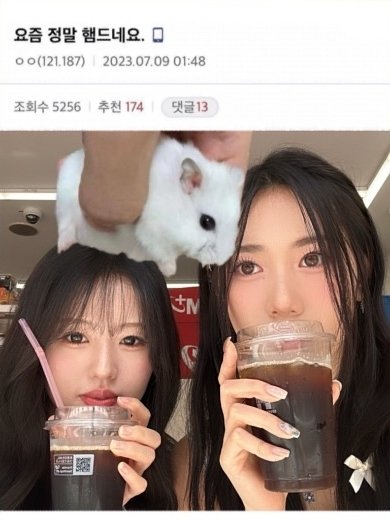 일본인 대만인이 햄드네요 짤을 만들었다는게ㅋ ㅋㅋㅋㅋ