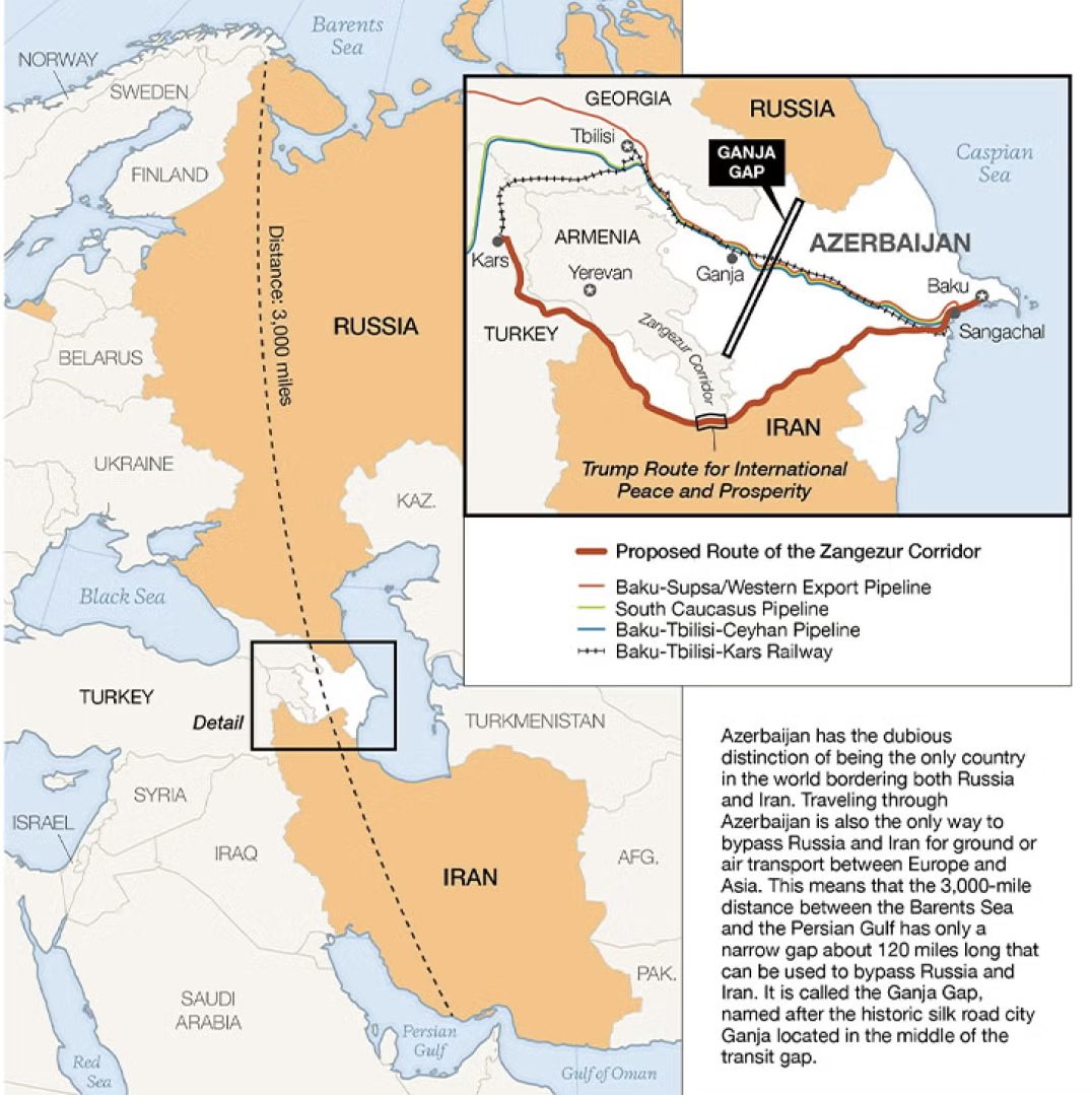 Luke Coffey tweet media