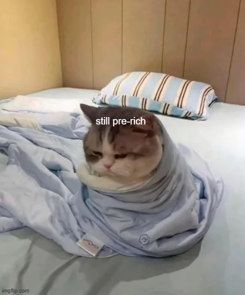 wake up at 3am checking my portfolio to see if i'm already rich or still pre-rich