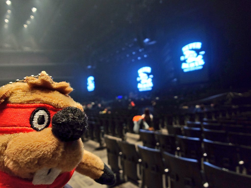 管理さん１号 tweet media