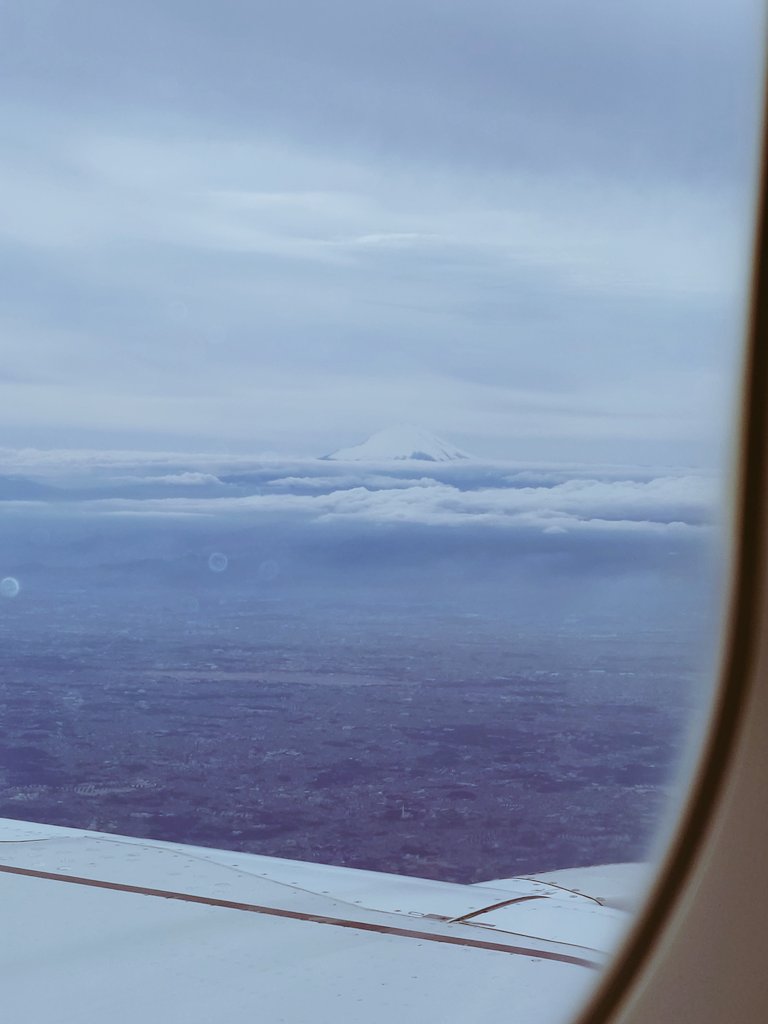 管理さん１号 tweet media