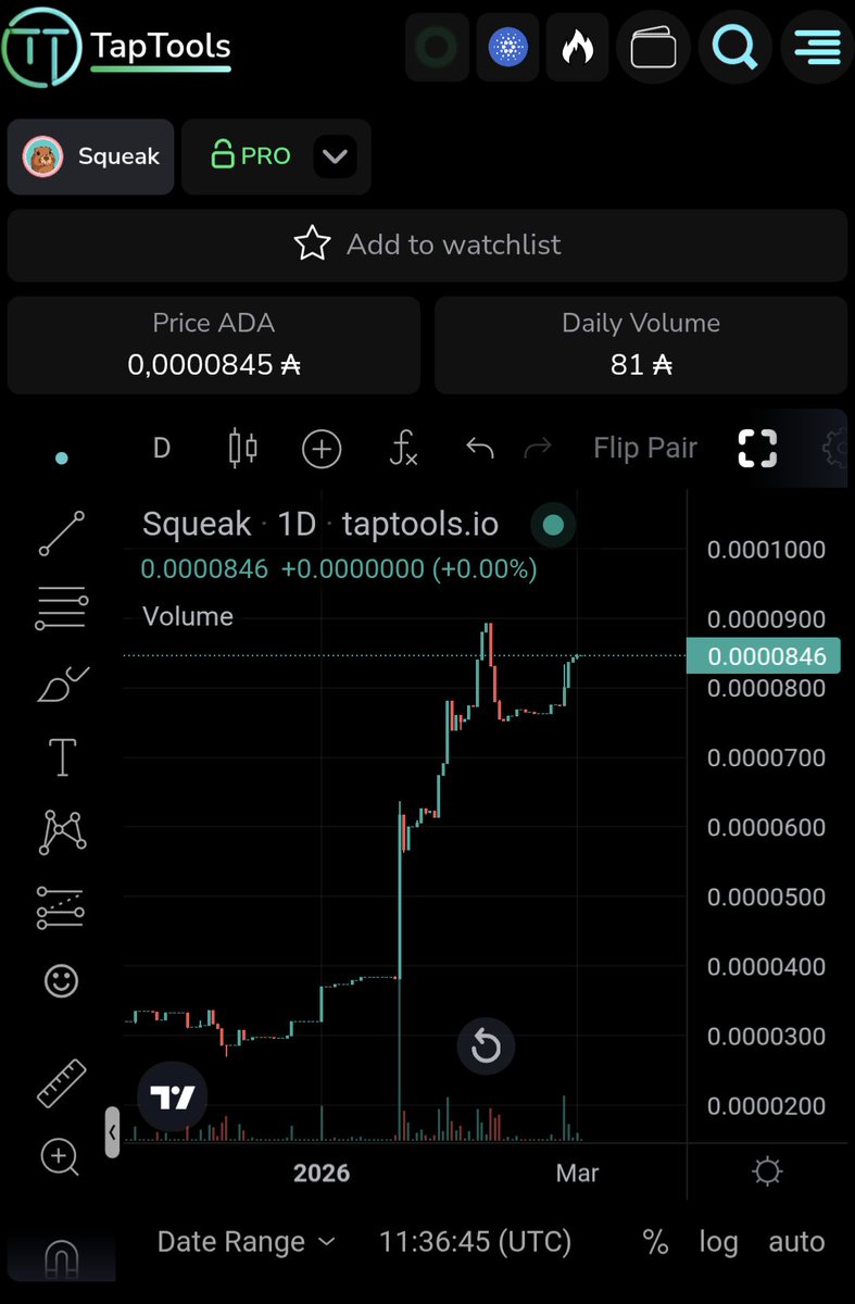 Squeak! 🩷 tweet media