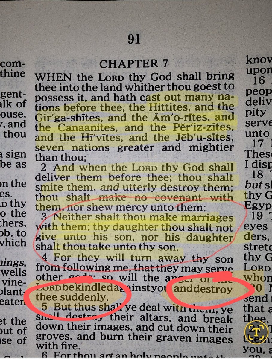 bobbyorbust's tweet photo. @Plasmaposting @PostinClips We're being destroying, just as Moses said would happen

For living with the other races and mixing with them👇

Yanno Christ repeatedly that Moses gave the law

When we're gone the entire planet will look like a nuclear waste polluted slum in India, and serves you bastards right https://t.co/TVml6eauGn