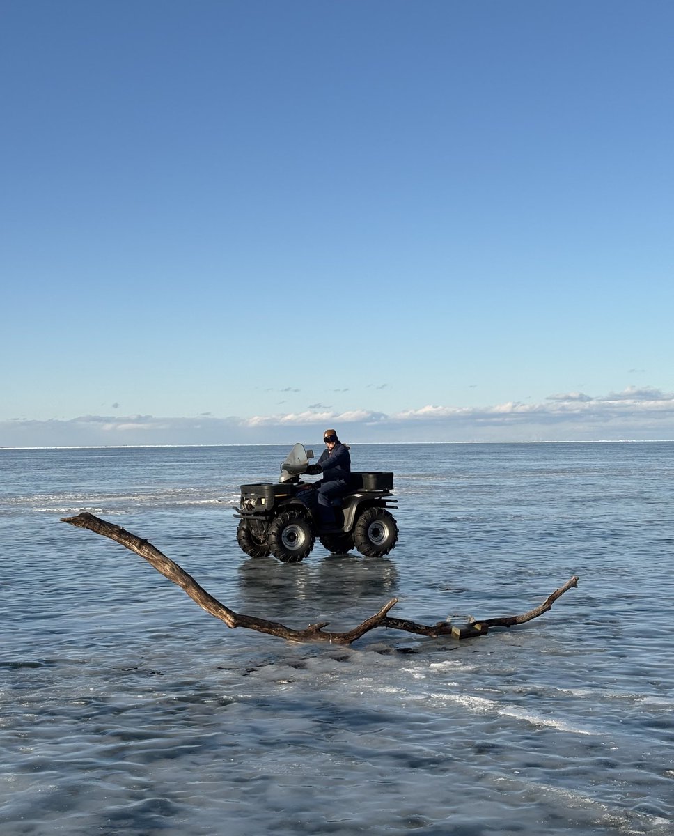 Visitor’s Ice Report:  “North Bay is 33cm (13”) thick and although the ice is much flatter, no where is it smooth enough for skating.” #PeleeIsland