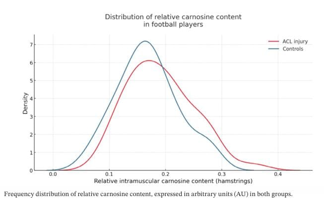 Physio Explored tweet media