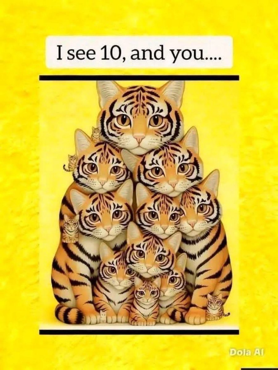 FAN ELON MUSK NEWS tweet media