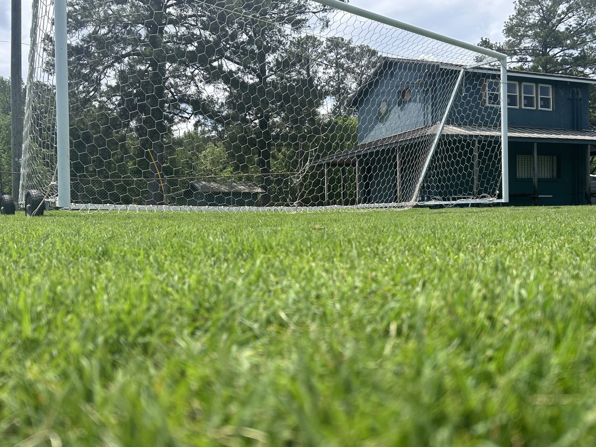 BLP_MEDIA's tweet photo. Spring is almost here — is your lawn ready? Refresh your yard with 𝗚𝗿𝗲𝗲𝗻𝗖𝗼 𝗟𝗮𝘄𝗻 &amp; 𝗟𝗮𝗻𝗱𝘀𝗰𝗮𝗽𝗲𝘀! From fertilization to weed control, their team has everything your lawn needs to thrive this spring.

👉 Get started today at https://t.co/LSv5uDK90T https://t.co/JupOfLyNU8