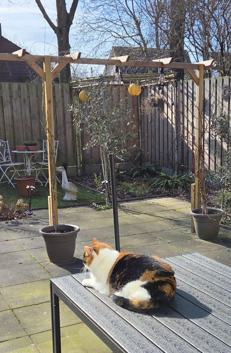 Els Barneveld tweet media