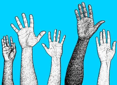 SEB @sebiology.bsky.social tweet media