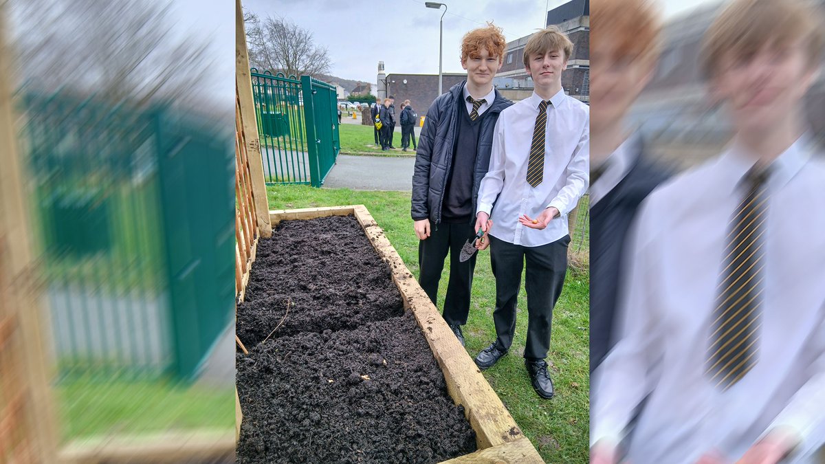 Castell Alun tweet media