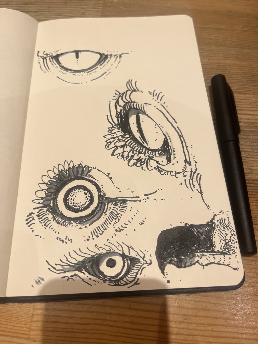 ｽｼｻﾞﾜ (@19701125s) / Posts / X