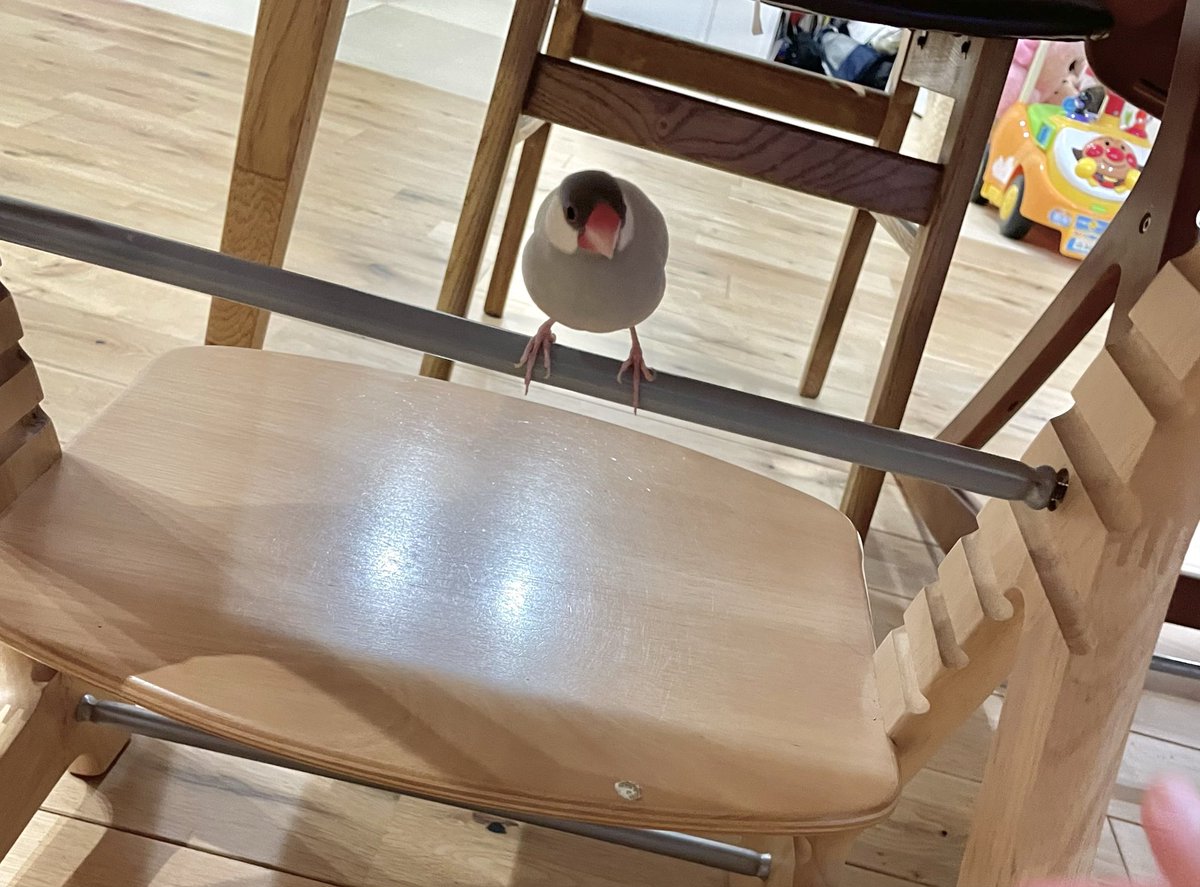 亀井みづき_Illustrator (@0726mizuki) / Posts / X