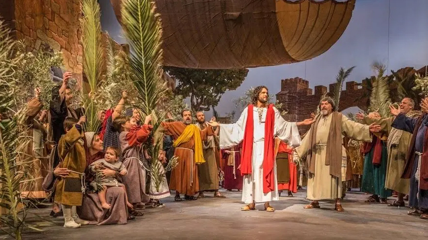 Surtdecasa tweet media