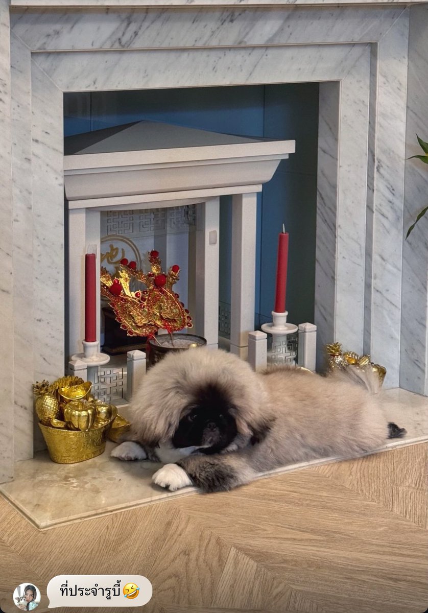 เอ็นดูอ่า