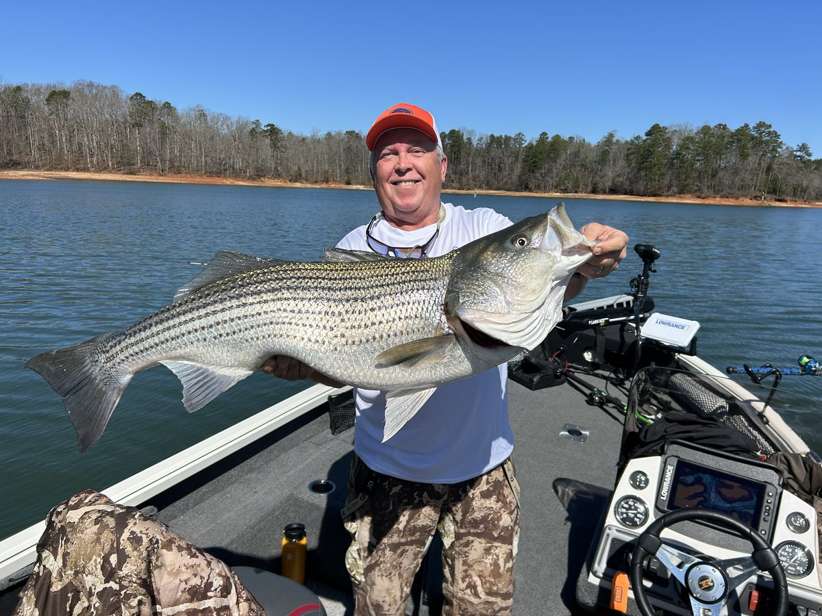 TheHatDean's tweet photo. Big fish trip on Hartwell today. Not many but Quality.  Lettum Go! Lettum Grow! #thereelbasschasers #cprfishing https://t.co/wqNRQsmhQN