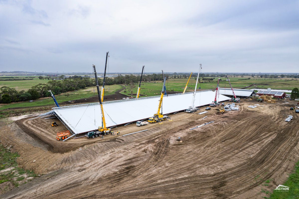 Action Steel tweet media