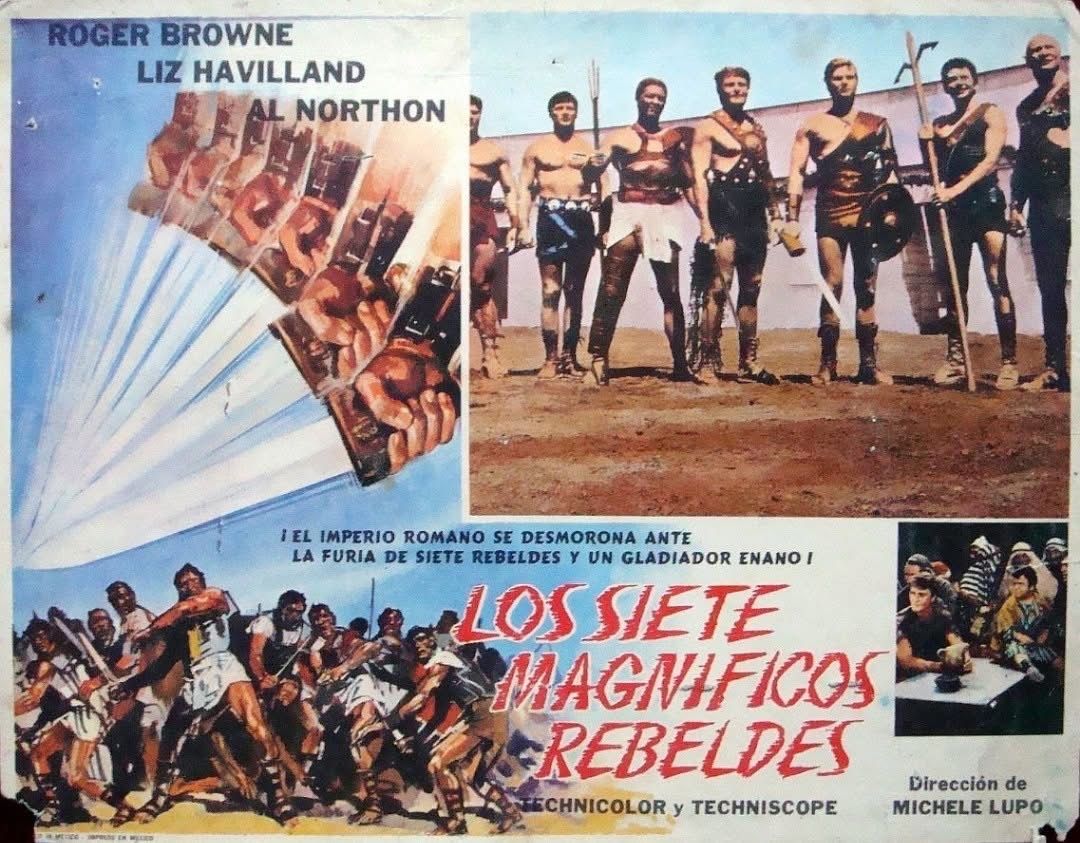 NezaFilms tweet media