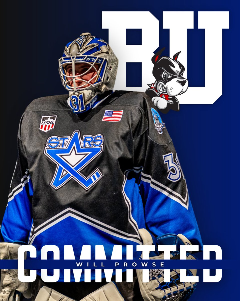 Lincoln Stars tweet media