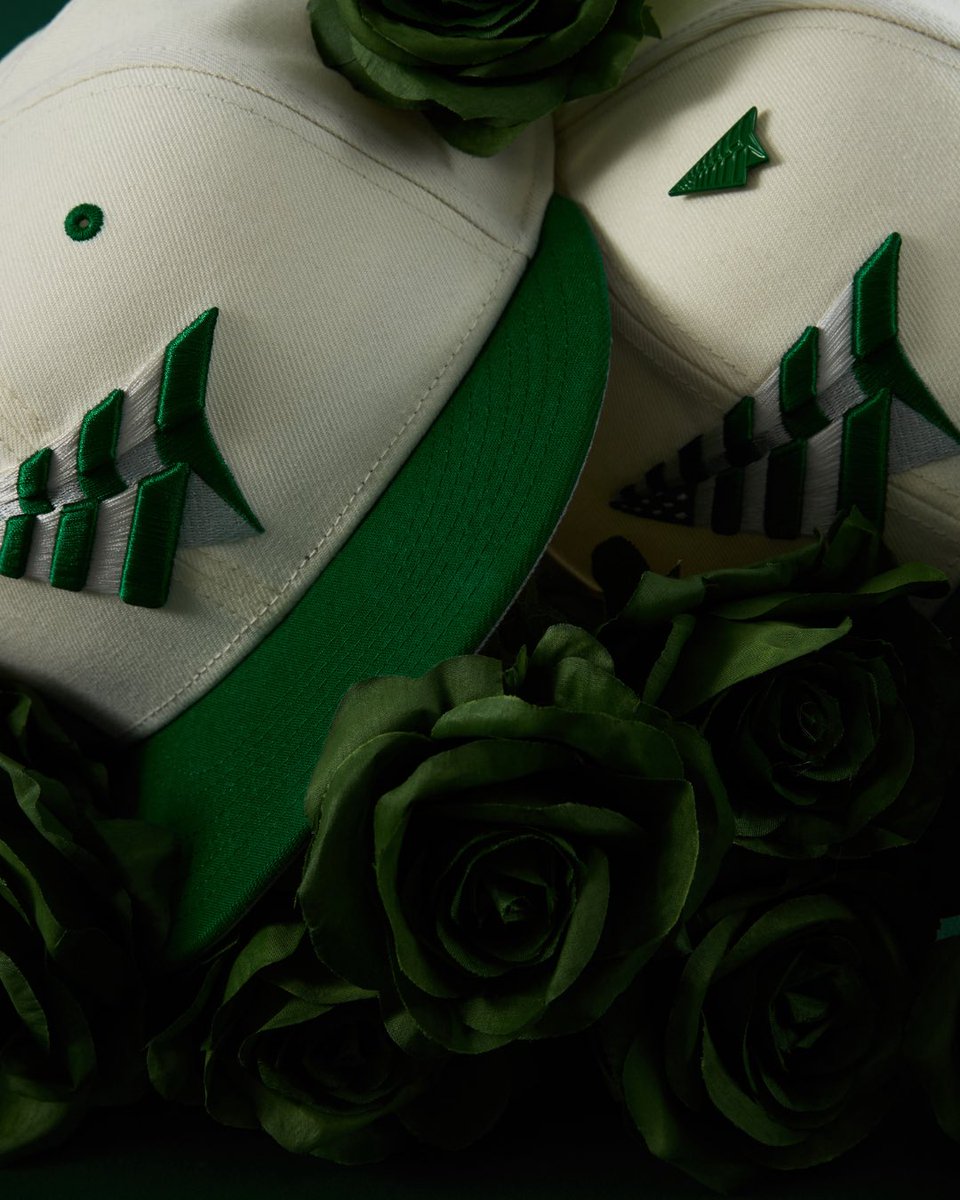 Paper Planes tweet media