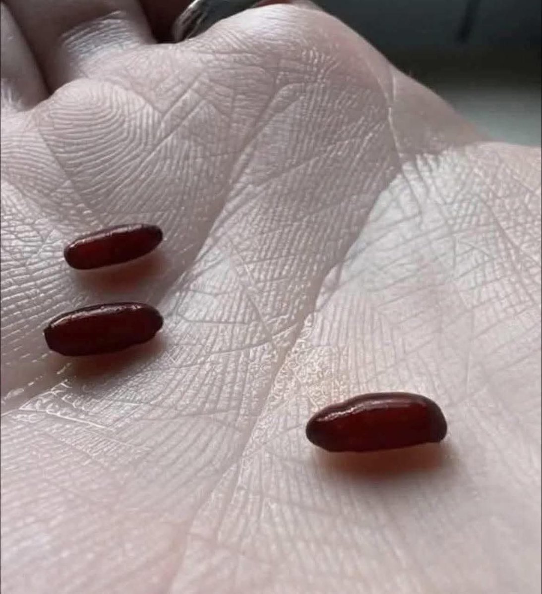 Diego Prieto✈️ tweet media