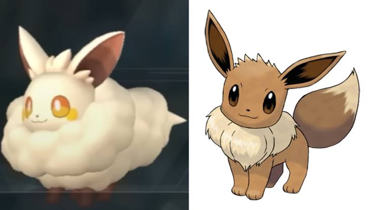 Sacacius tweet media