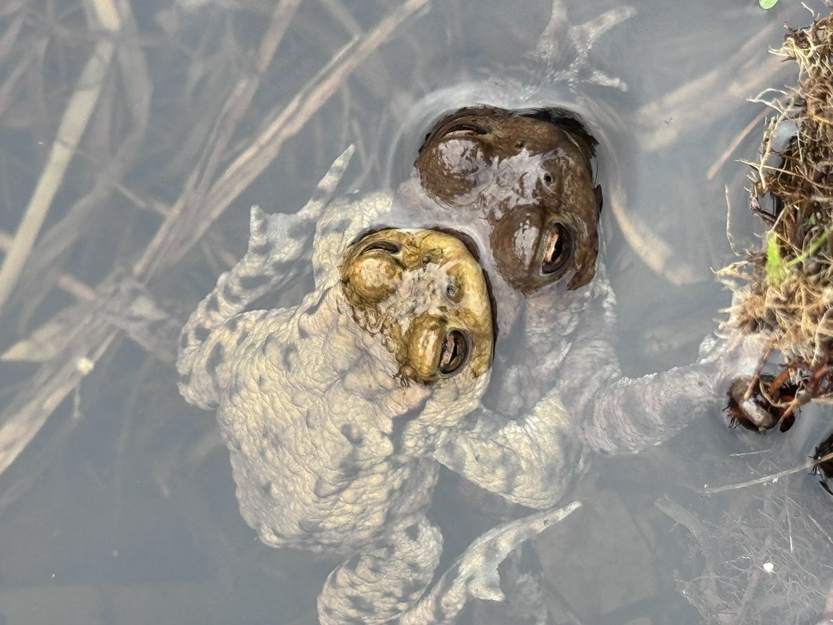 Sean Gray tweet media