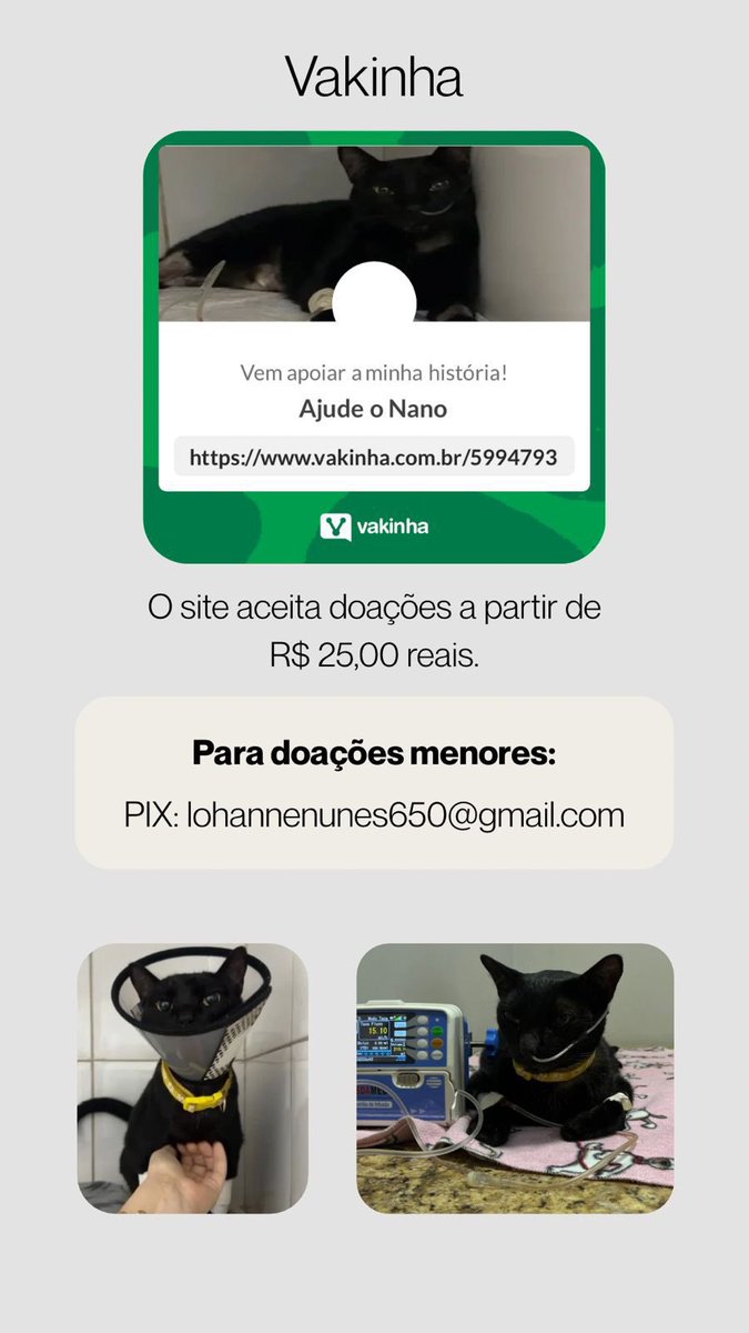 cellbit flopado fracassado aop lixo OI RAPAZEADA ATENÇÃO AQUI POR FAVOR VAMOS AJUDAR UM GATIN POIS TODOS OS GATINHOS DO MUNDO MERECEM UMA VIDA BOA FELIZ E SAUDÁVEL