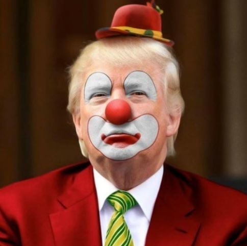 LLP_Le_Vrai's tweet photo. #OperationEpsteinFury tourne au fiasco ! #Cheeeh.
@POTUS https://t.co/HMokYK5CUd