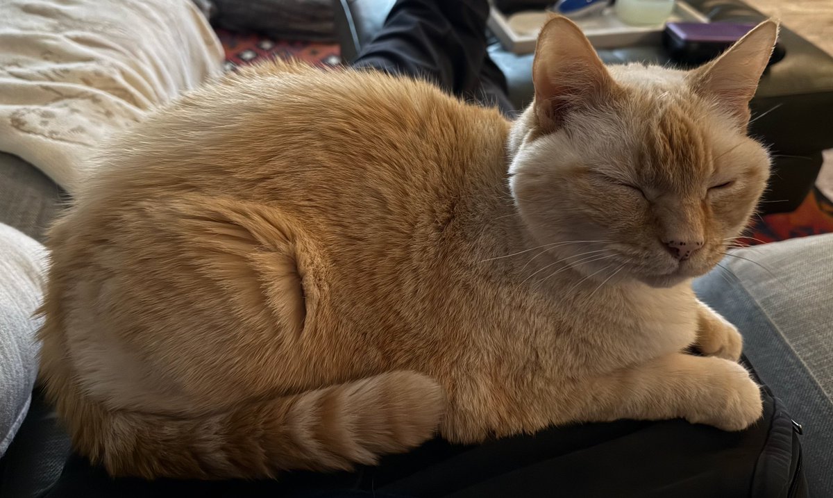 Nintendeal's tweet photo. the intern is 17 years old today

please wish him a happy birthday 🎂 https://t.co/cjBLRXaqG6