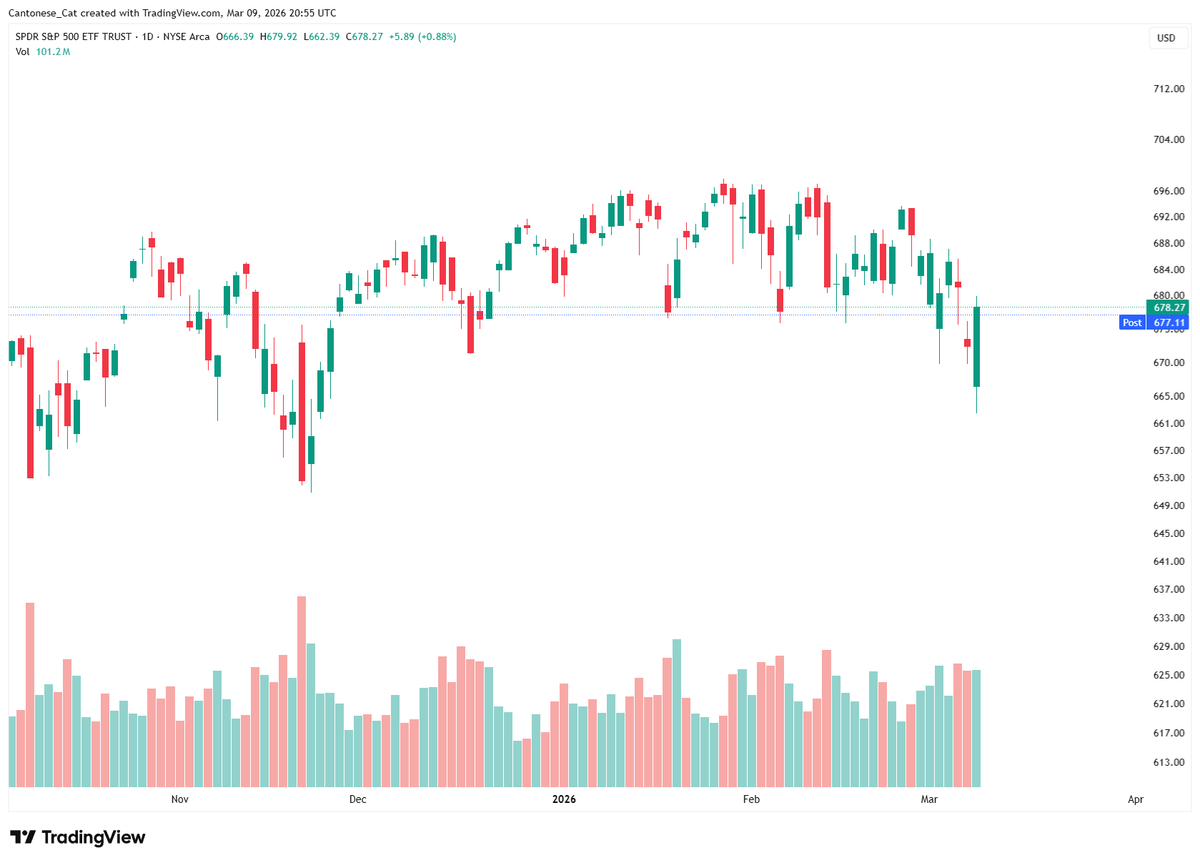 Cantonese Cat 🐱🐈 tweet media