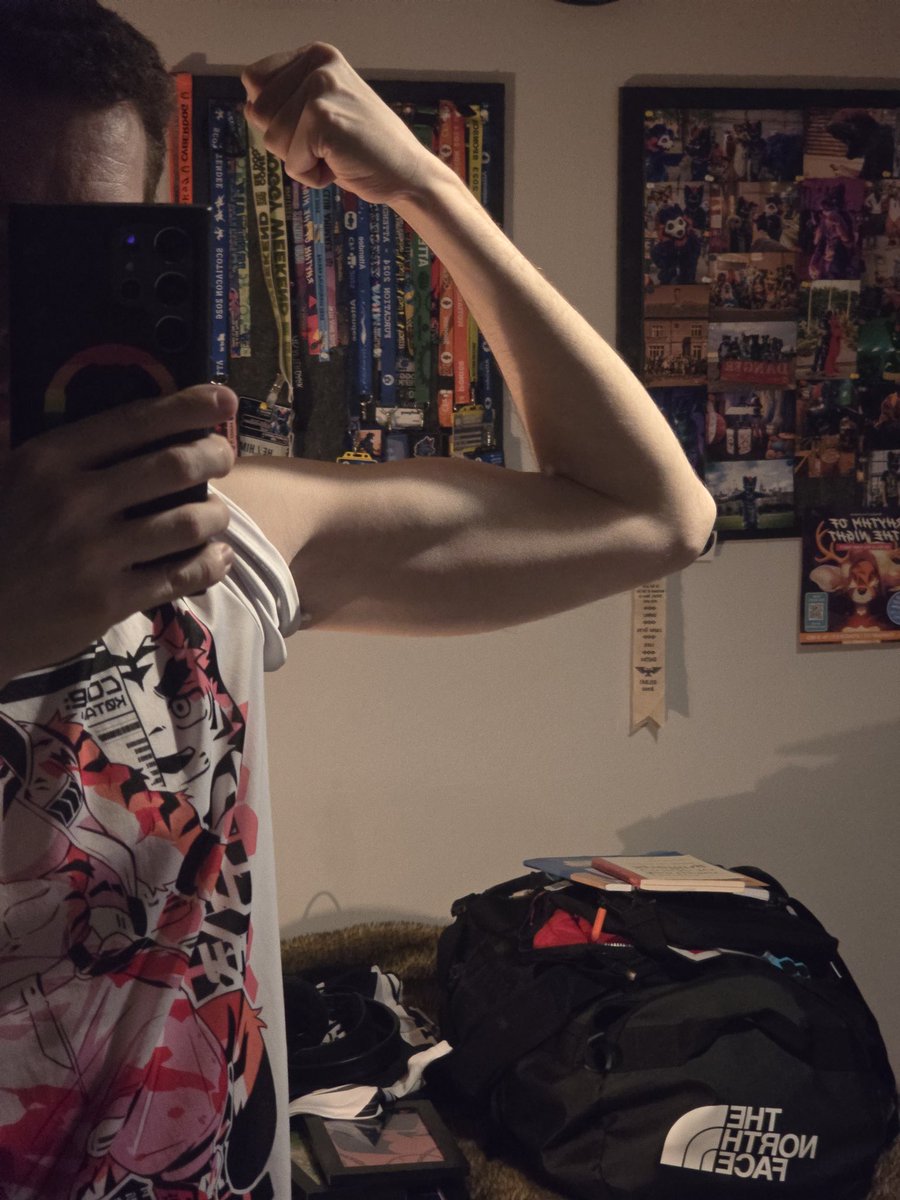 Wolfgang tweet media