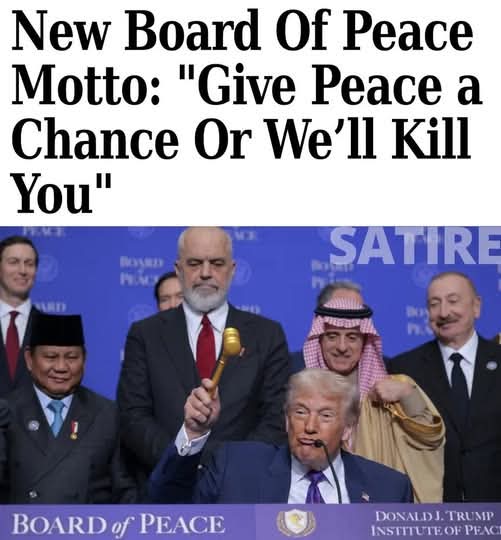 Nerfaphytum (@nerfaphytum) on Twitter photo 