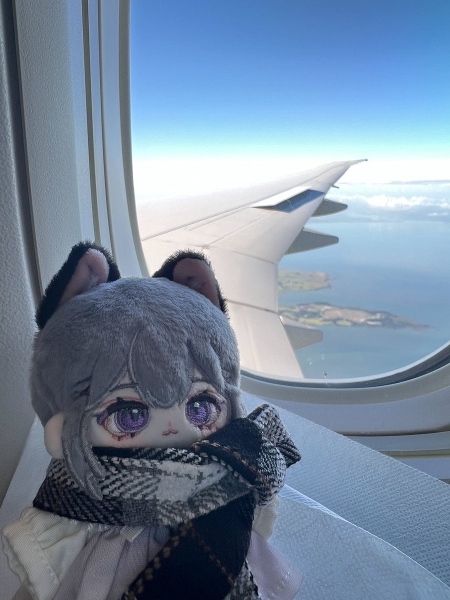 桔香梅綠 tweet media