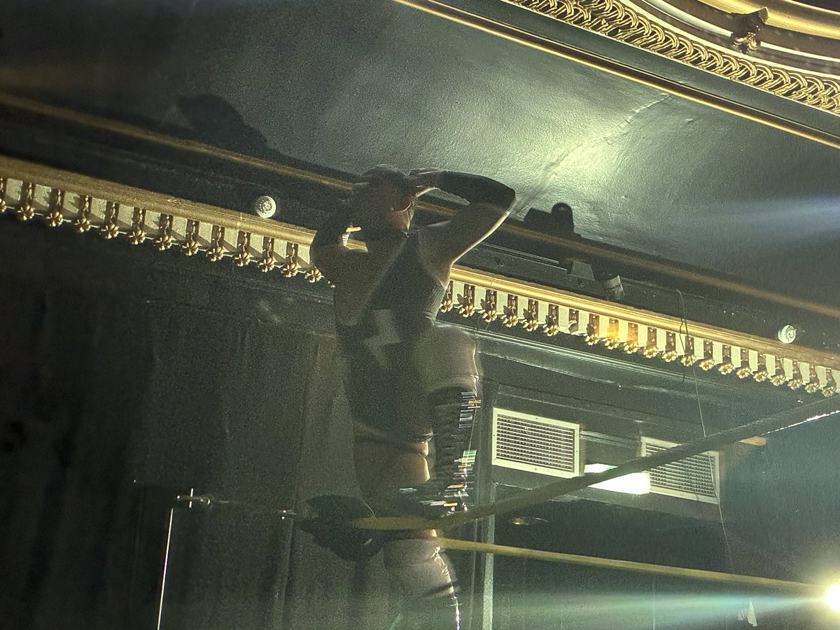 Westie : The One And Only tweet media