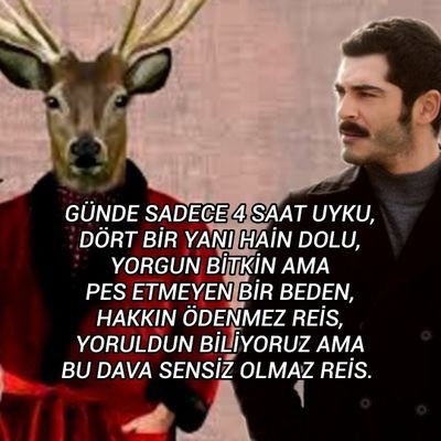 god save the rose🌹 tweet media