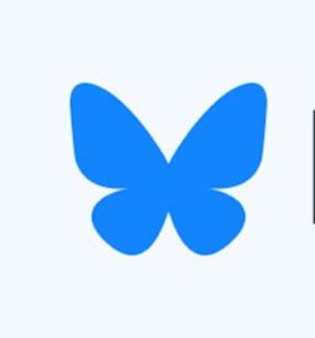 Pirat_Nation 🔴 tweet media