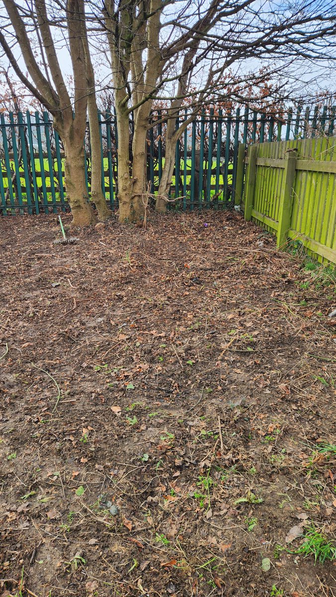DaneRoydSchool's tweet photo. Ground breaking has officially begun! Thanks to Robertsons Social Impact Team, Jewsons Castleford, Dane Royd staff and a parent who all volunteered today. @juleslhoward look who have already returned! 🐸 https://t.co/TVux6QJoF7