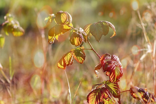 Keith Burke tweet media