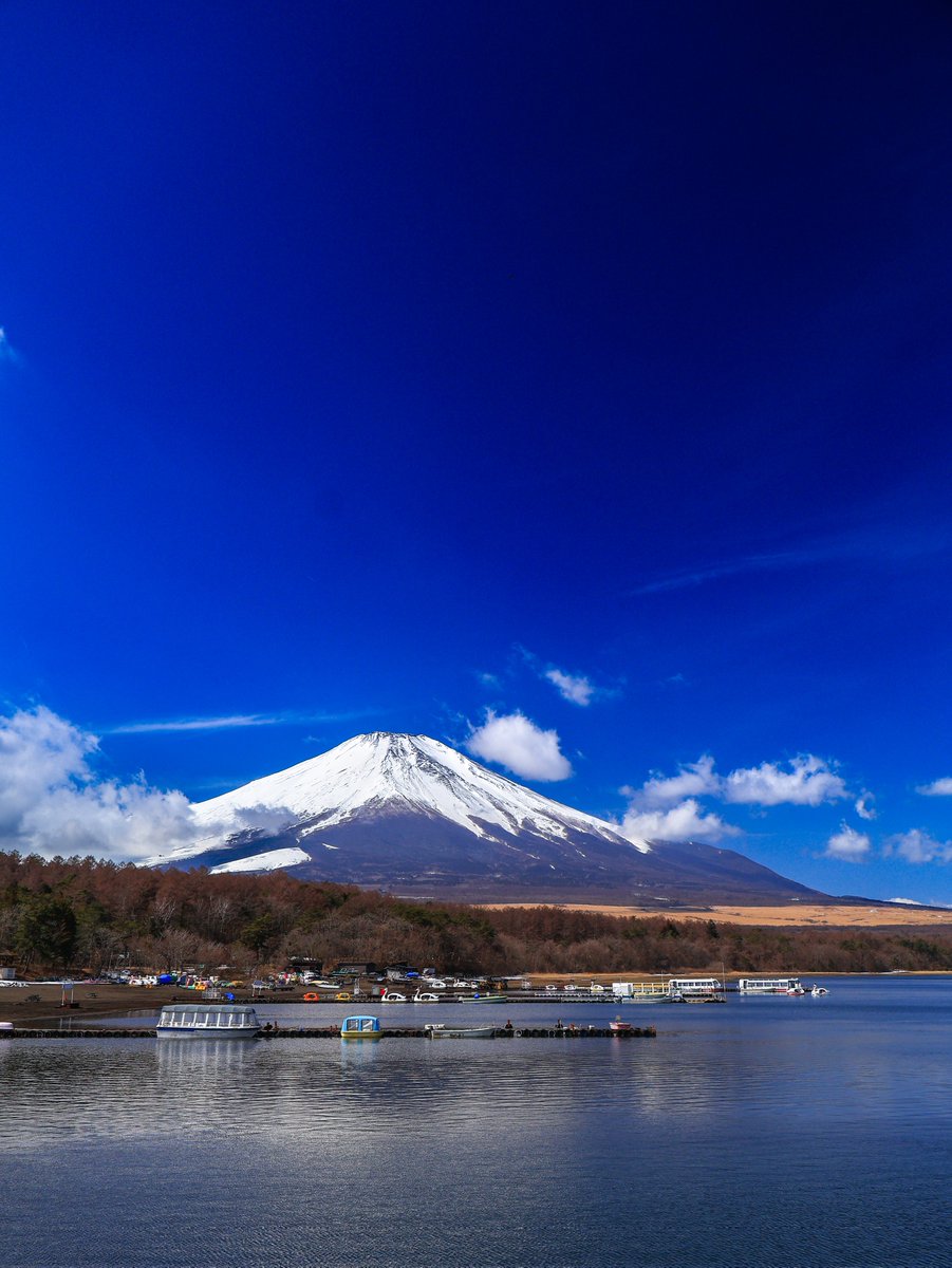 🐘みはえる🐘【公式】 tweet media