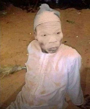 ◢ ◤ Kawabanga tweet media