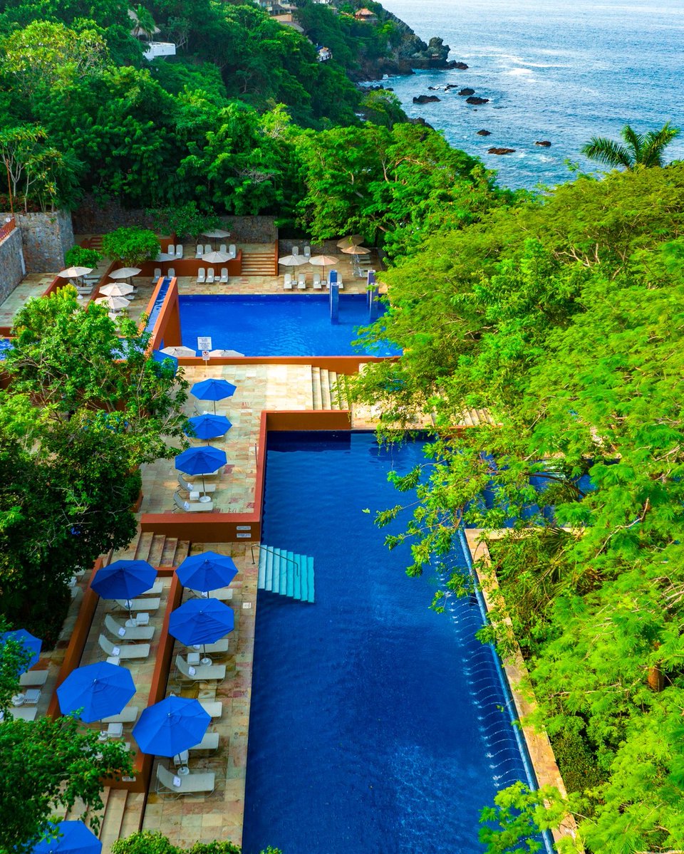 AMHIZ Hoteles Ixtapa Zihuatanejo tweet media