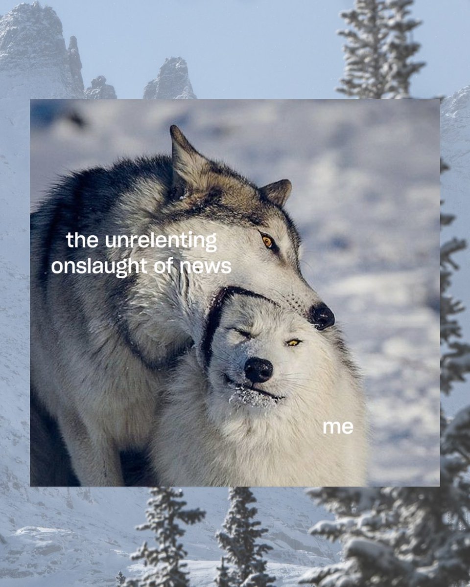 Protect Our Winters tweet media