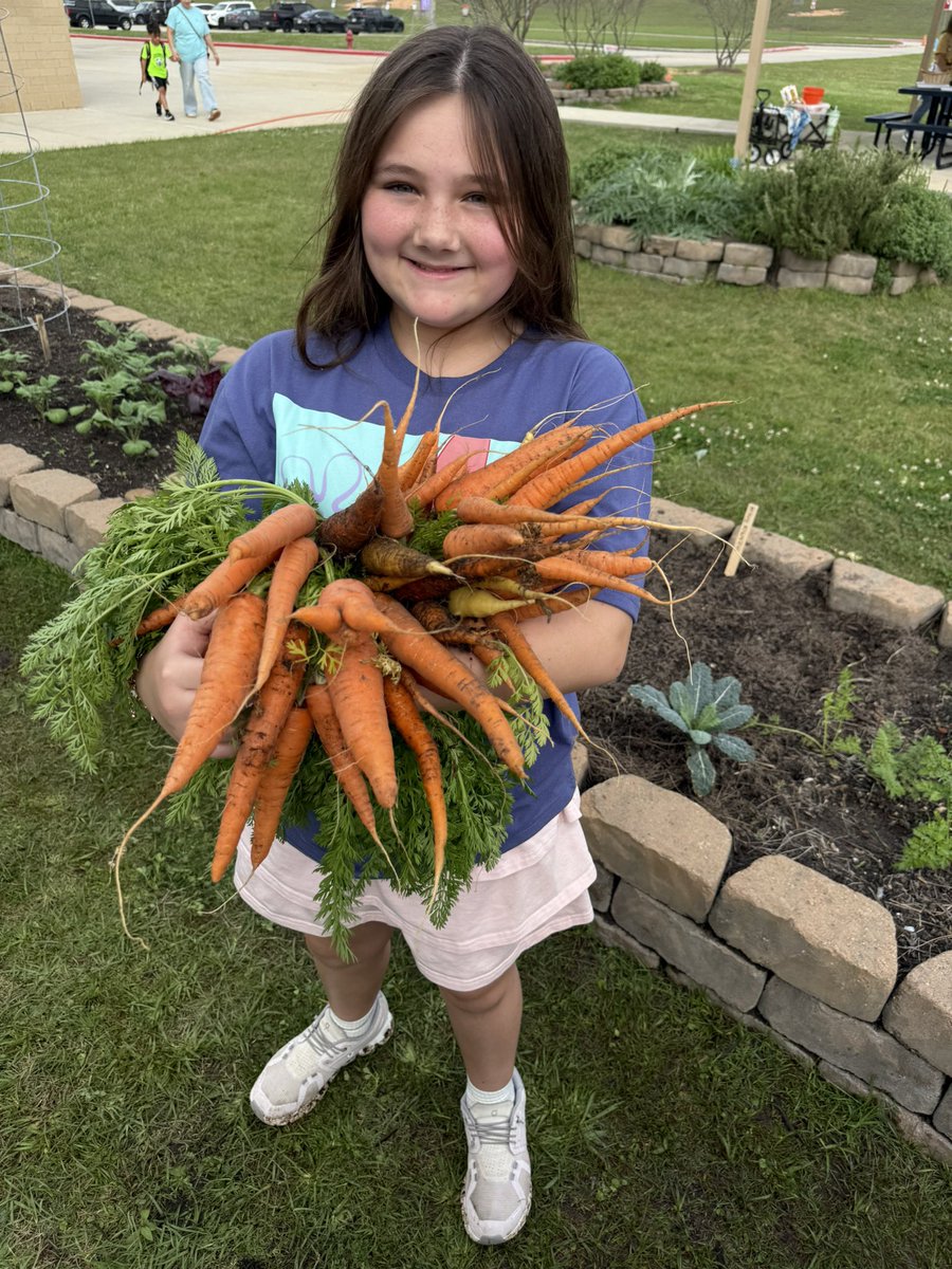 Kara Wolf tweet media