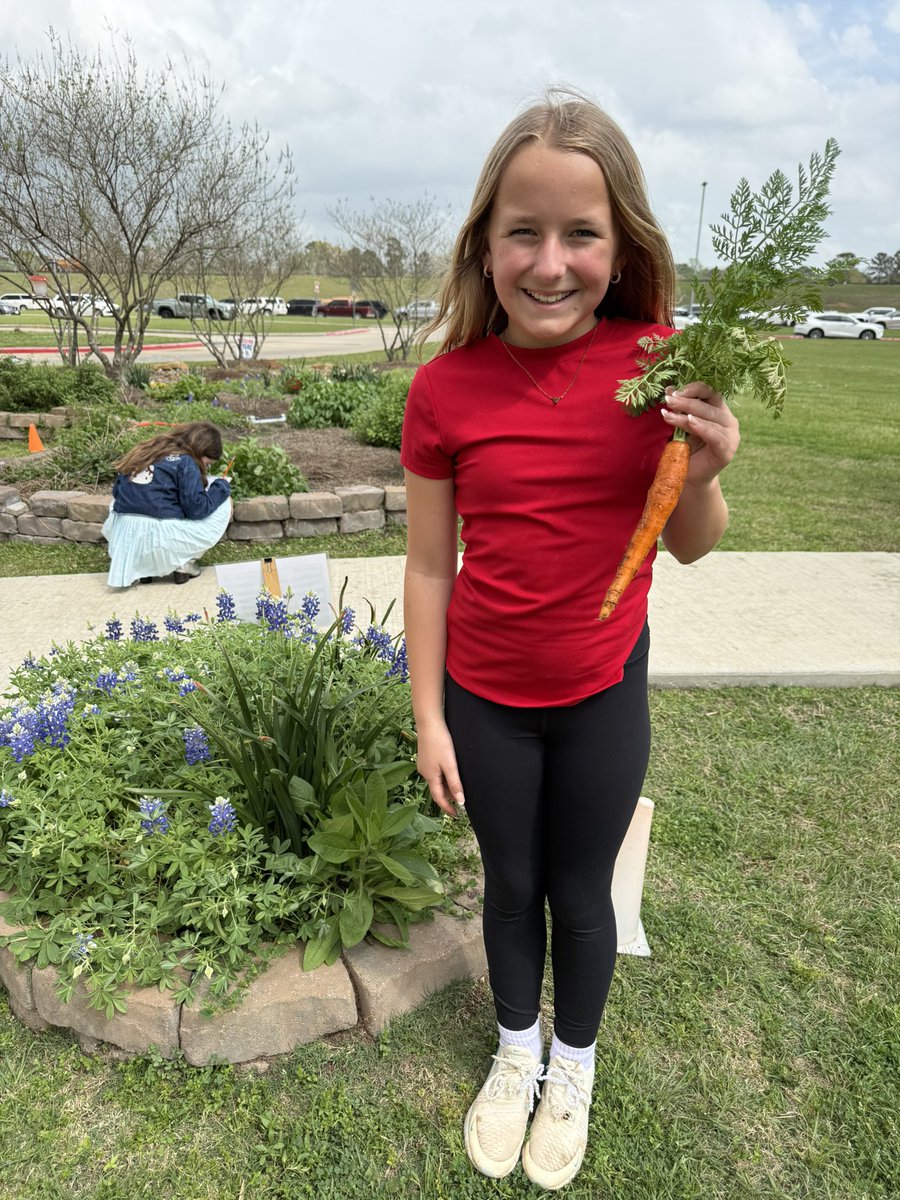 Kara Wolf tweet media