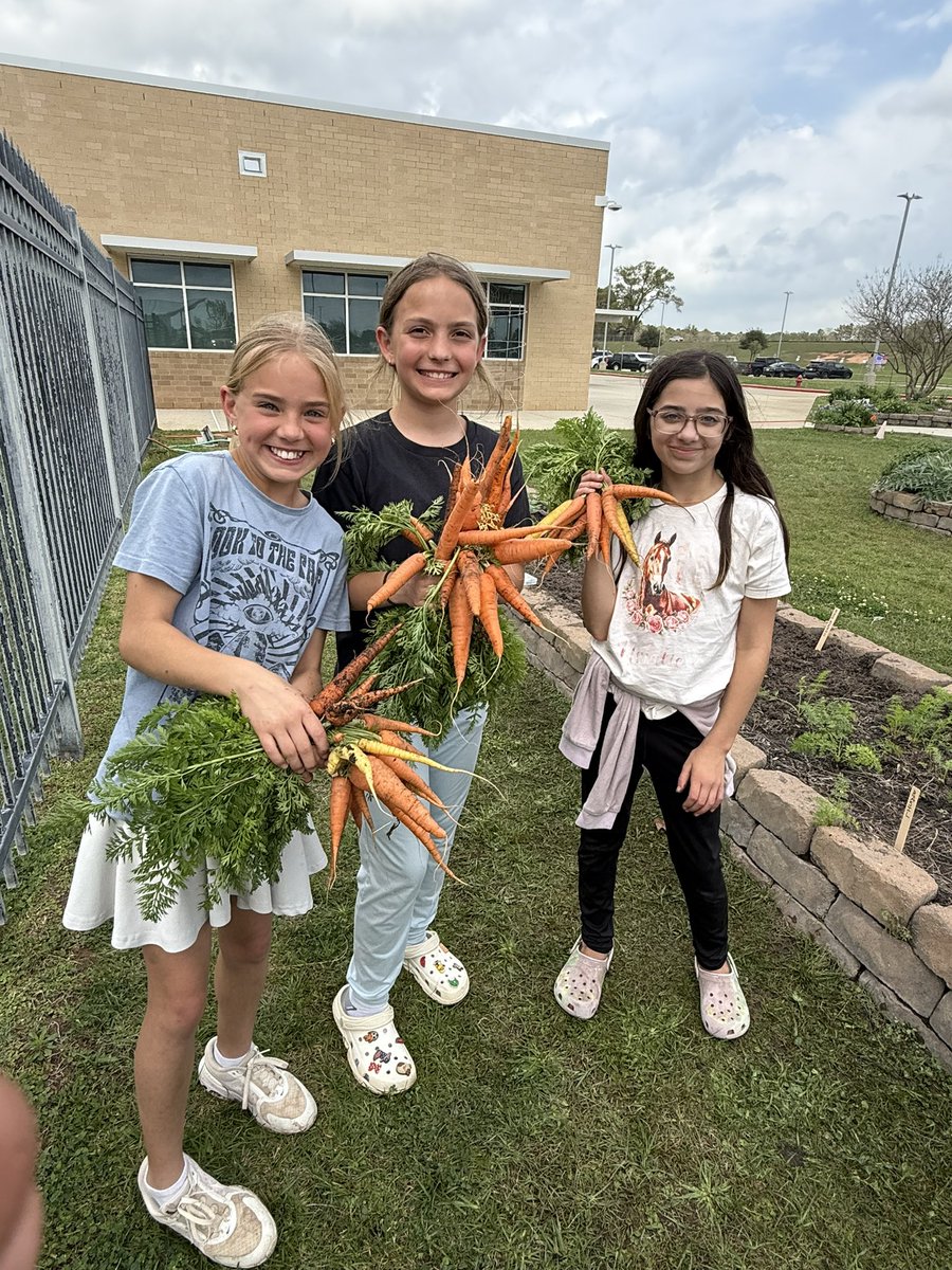 Kara Wolf tweet media