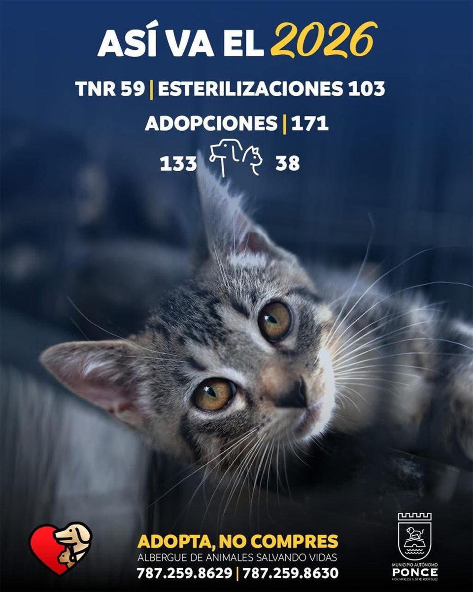 Remi Martin tweet media