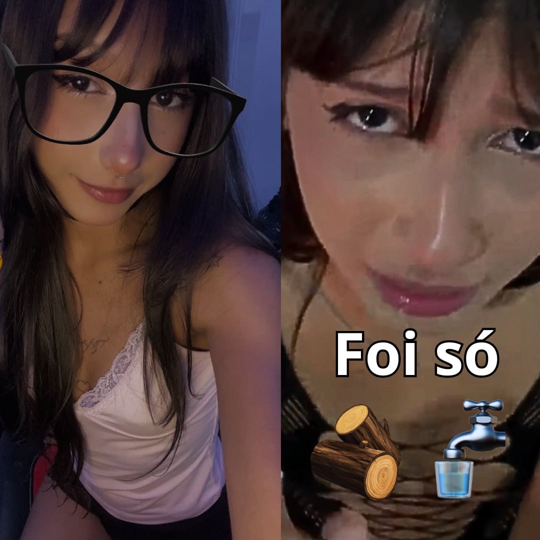 Minibruxinho tweet media