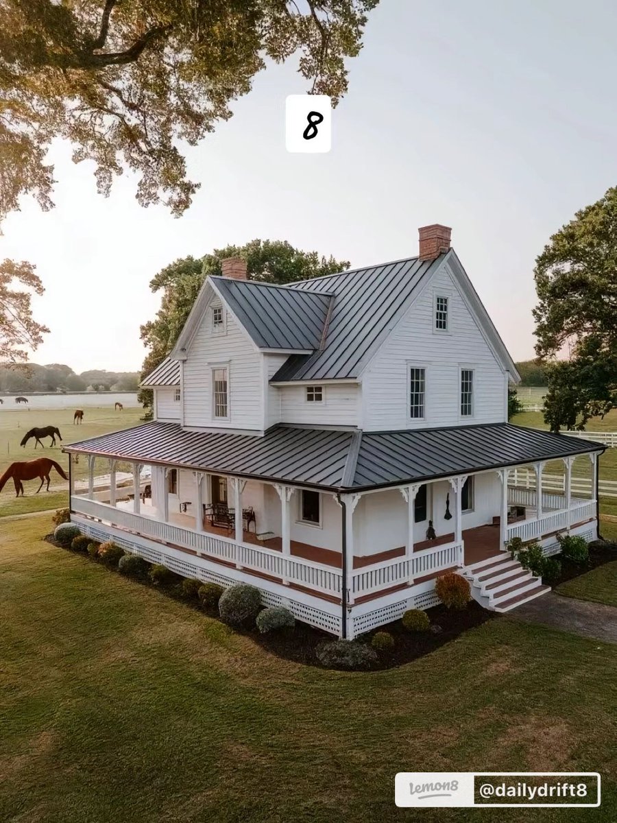 The Bull Moose Project tweet media