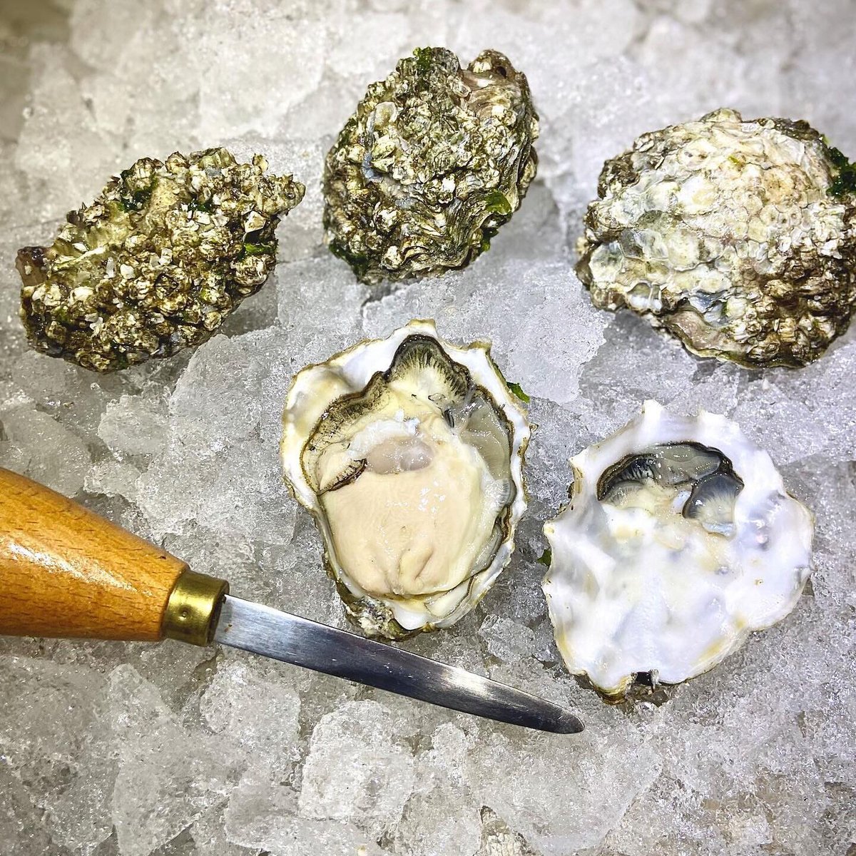 Goose the Market tweet media